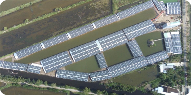 Trang trại nuôi tôm Thiên Kim Cà Mau 